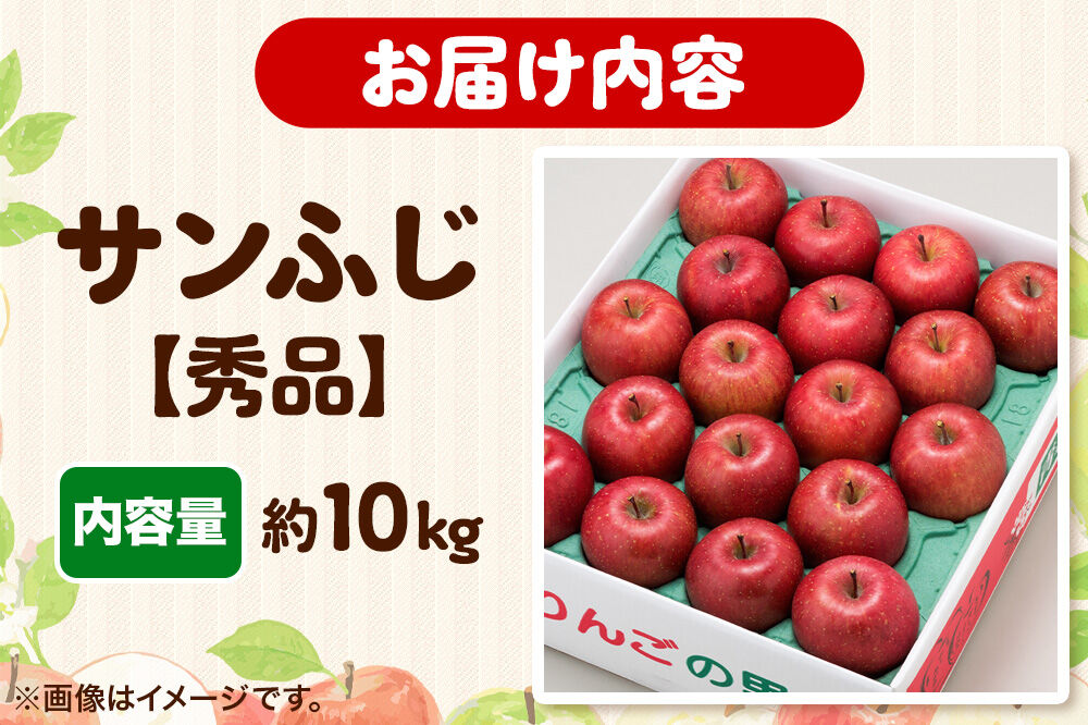 【寄附金額見直しました】りんご 【糖度13度以上】サンふじ 約10kg 【秀品】 青森県 フルーツ 果物
