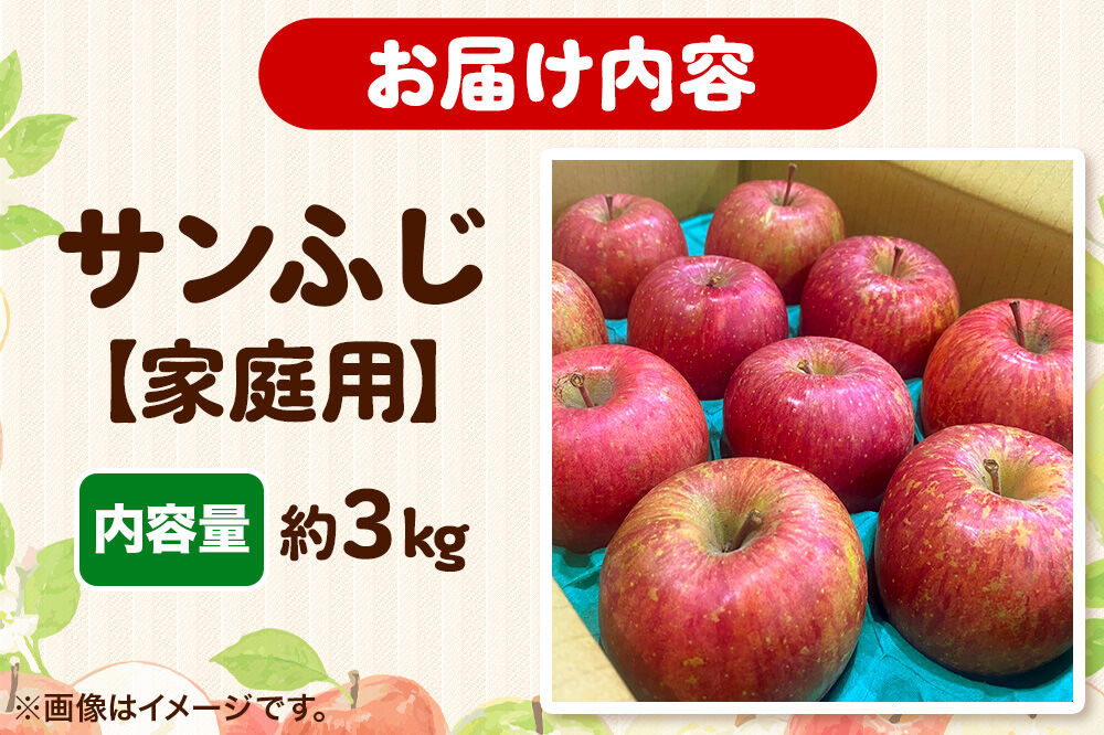【寄附金額見直しました】りんご 【糖度13度以上】サンふじ 約3kg 【家庭用】 青森県 フルーツ 果物