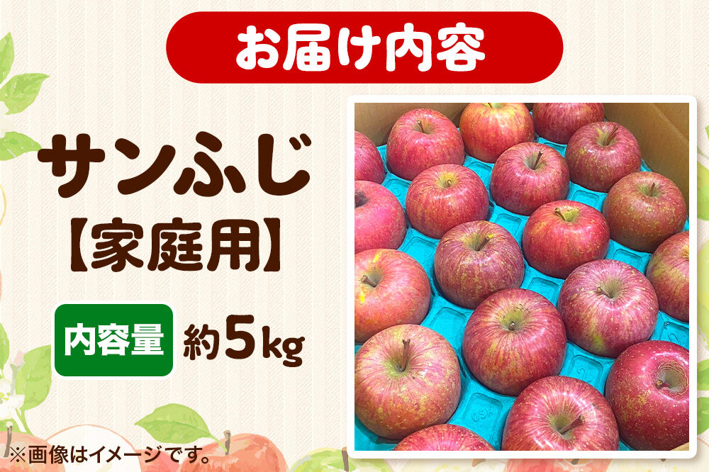 【寄附金額見直しました】りんご 【糖度13度以上】サンふじ 約5kg 【家庭用】 青森県 フルーツ 果物