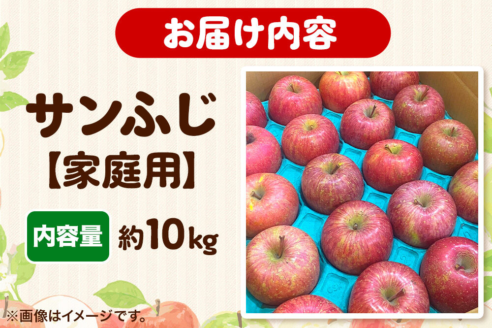 【寄附金額見直しました】りんご 【糖度13度以上】サンふじ 約10kg 【家庭用】 青森県 フルーツ 果物
