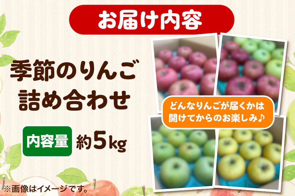 【どんな品種が届くかお楽しみ】季節のおすすめりんごBOX 詰め合わせ 約5kg 【家庭用】 青森県 フルーツ 果物