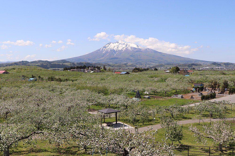 【寄附金額見直しました】【タクシーでらくらく移動】着地型弘前ねぷたまつり見学ツアー 4名様ご招待 [ホテル宿泊券 ねぶた桟敷券 入場券 食事券]