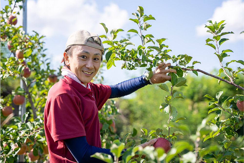 ものも Amazon.co.jp: ポッシュフェイス(POSH FAITH) バイク用品 H型