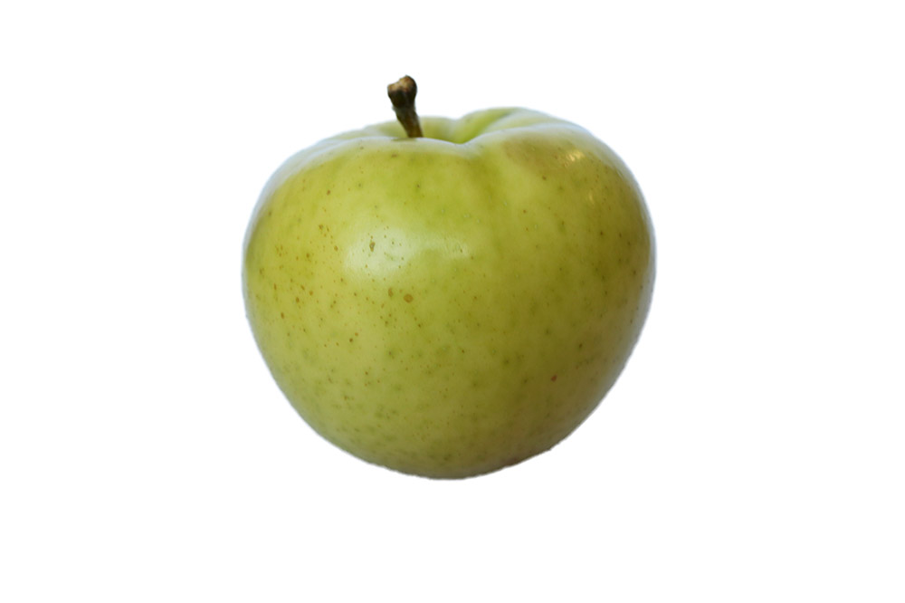 弘果オリジナル品種シードル 2種類セット 500ml×2本