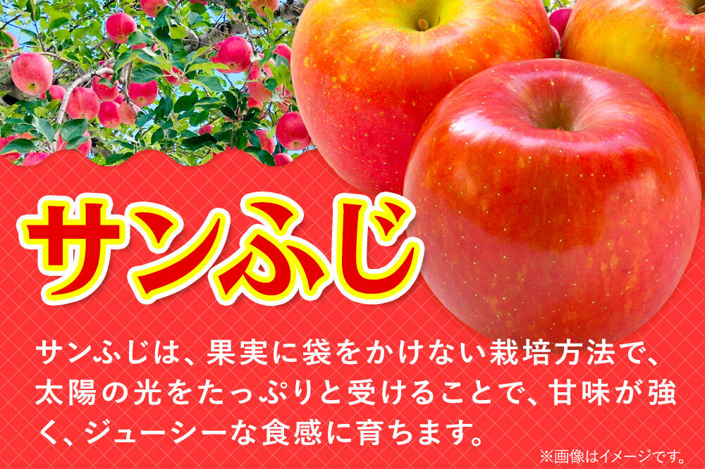 【寄附金額見直しました】りんご サンふじ・王林 詰め合わせ【贈答用】約5kg 林檎 リンゴ 果物 くだもの フルーツ 青森 [りんご サンふじ 王林 贈り物 贈答用 お歳暮 お中元 ギフト 5キロ アップル おいしい 黄色 果実 果物 詰め合わせ セット 赤色 美味]