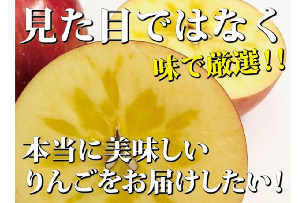 りんご ふじ 約5kg（12玉～24玉程度）樹上完熟葉とらず【家庭用】厳選品 青森県産 りんご