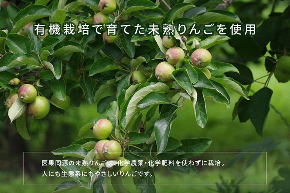 【寄附金額見直しました】医果同源未熟りんご入り りんごジュース紙パック（1000ml×3本入）