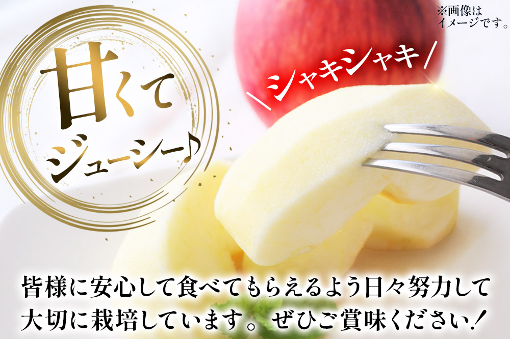 りんご 葉とらず サンふじ 約10kg カワムラファーム 贈答用 青森 果物 フルーツ 林檎 リンゴ くだもの