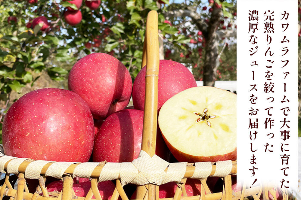 【寄附金額見直しました】無添加 りんごジュース 3種 飲み比べ 1L×3本【葉とらずふじ・王林・千雪】カワムラファーム [りんごジュース ストレートジュース 無添加 飲み比べ セット アップル 葉とらずふじ 王林 千雪 青森県産 弘前市]