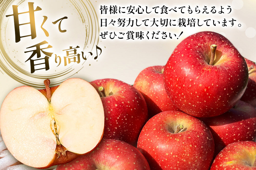 【寄附金額見直しました】【26年10月下旬～発送】りんご 千雪 約6kg カワムラファーム【贈答用】青森 果物 フルーツ 林檎 リンゴ くだもの [先行受付 アップル おいしい ちゆき お歳暮 お中元 ギフト プレゼント 果実 果物 赤色 贈り物 美味 林檎 弘前市]