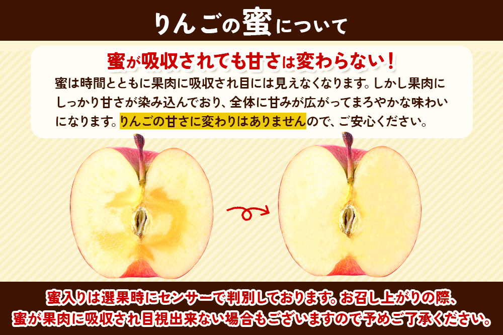 【25年11月～発送】りんご 蜜入り サンふじ（みつまるくん）約 2.5kg 糖度13度以上