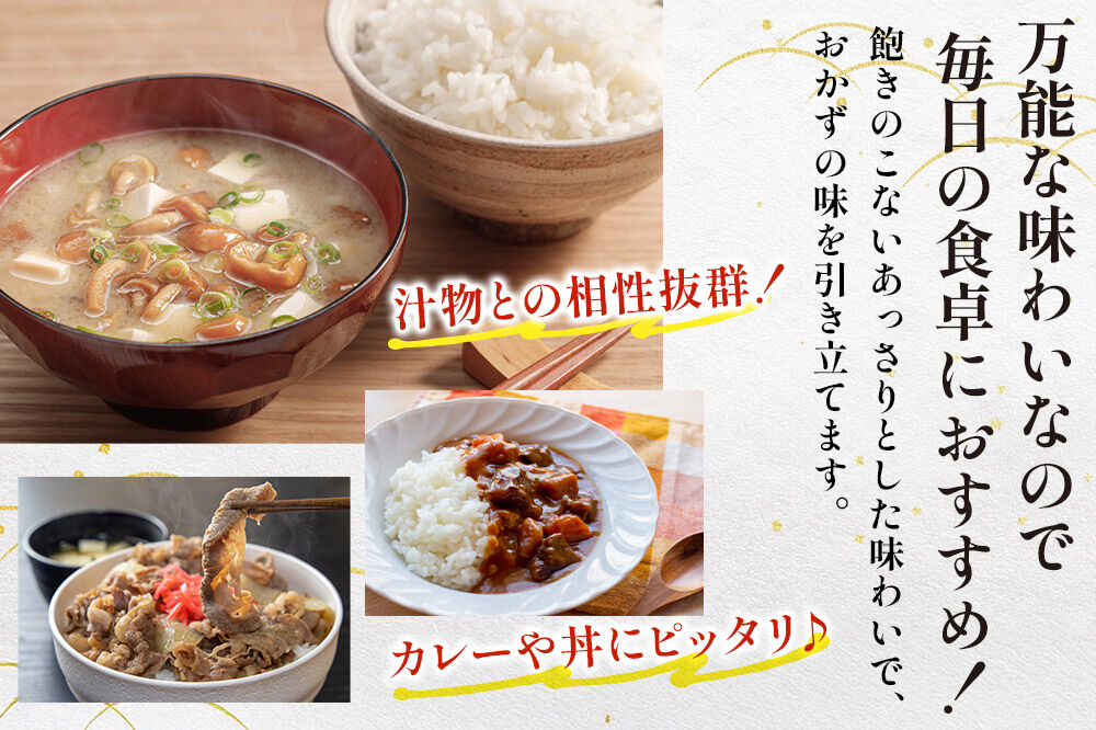 【寄附金額見直しました】《定期便9ヶ月》【白米】青森県産 まっしぐら 10kg 精米 お米 青森県産 ブランド米