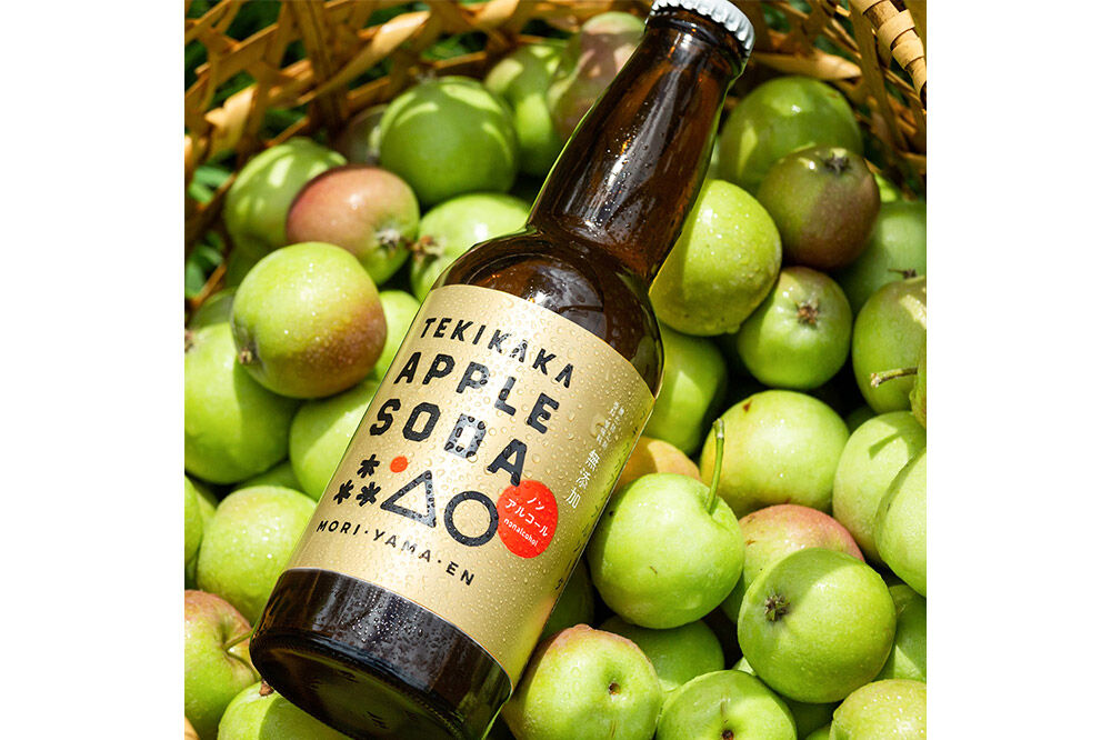 【寄附金額見直しました】摘果りんごのシードルとノンアルセット テキカカシードル ＆ アップルソーダ 各330ml×3本 計6本 お酒 青森 弘前 林檎 リンゴ