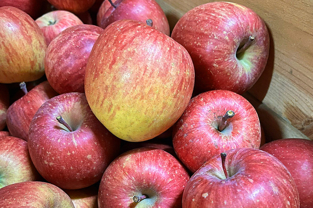 【寄附金額見直しました】【26年2月～発送】りんご サンふじ【贈答用】約5kg 小玉 森山ファーム [サンふじ りんご 贈答 おもてなし 小玉 果物 フルーツ 林檎 リンゴ くだもの 森山ファーム 青森県 弘前市]