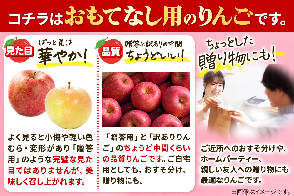 【25年12月発送】りんご 平均糖度13度以上！ 葉とらずサンふじ 約5kg おもてなし用 青森 果物 フルーツ 林檎 リンゴ くだもの