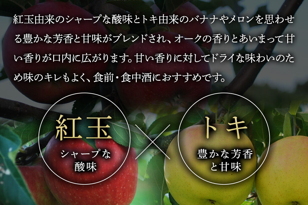 【寄附金額見直しました】ハードサイダー【アルマナウラカ】 750ml 1本 （ジュニャーナムドラTJW） JAPAN CIDER CUP 2025 ウッド／樽熟成サイダー 銀賞 [おいしい サイダー ジュース 飲料 炭酸 美味]