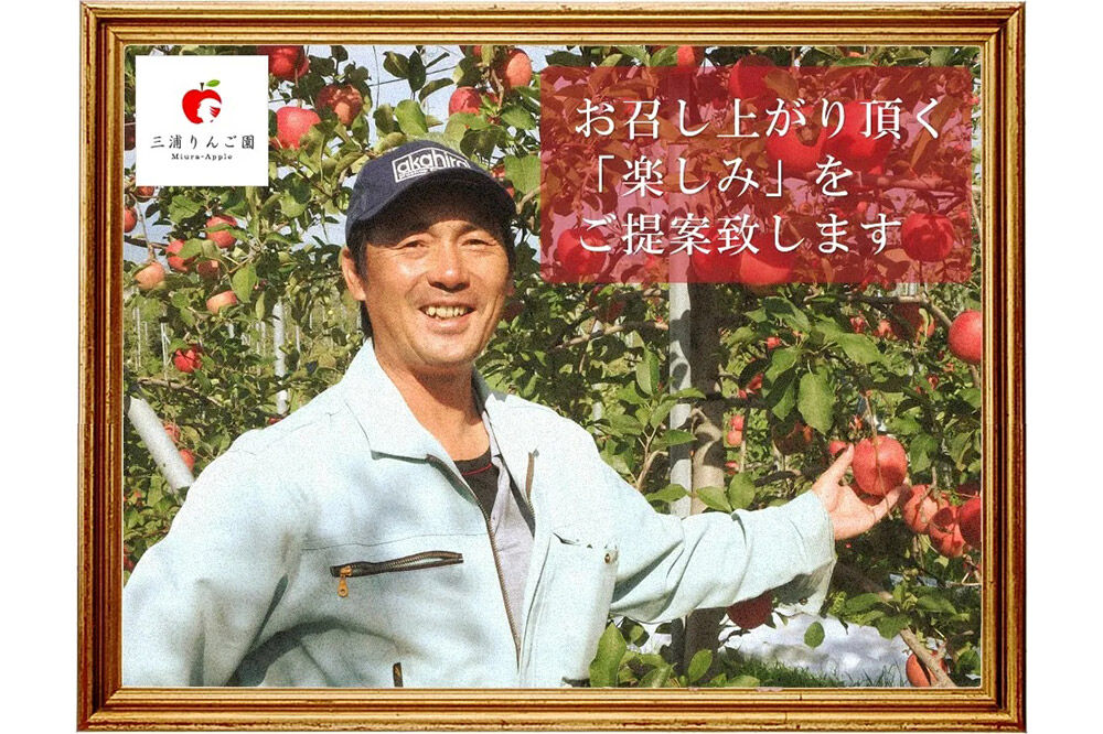 【寄附金額見直しました】【25年11月～発送】りんご【訳あり】家庭用 シナノスイート 約3kg 糖度13度以上（糖度証明書付）【先行受付】 青森 果物 フルーツ 林檎 リンゴ くだもの 不揃い 規格外 予約