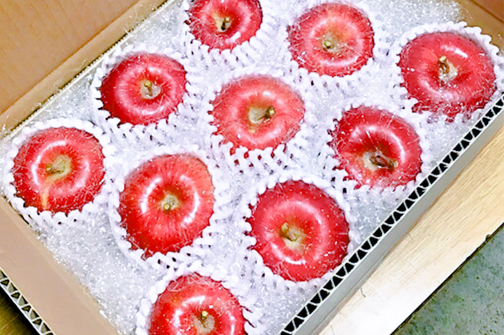 【25年12月～発送】りんご サンふじ 贈答用 約5kg しらかみラボ