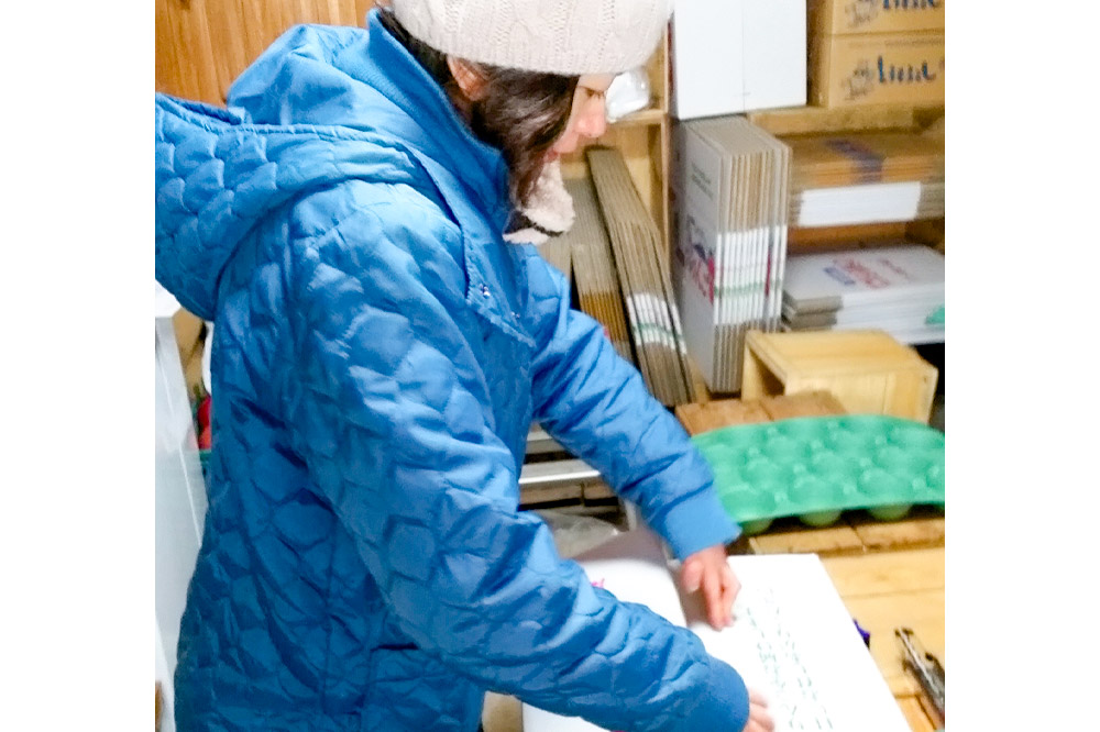 【25年12月～発送】りんご 王林【訳あり】10kg しらかみラボ