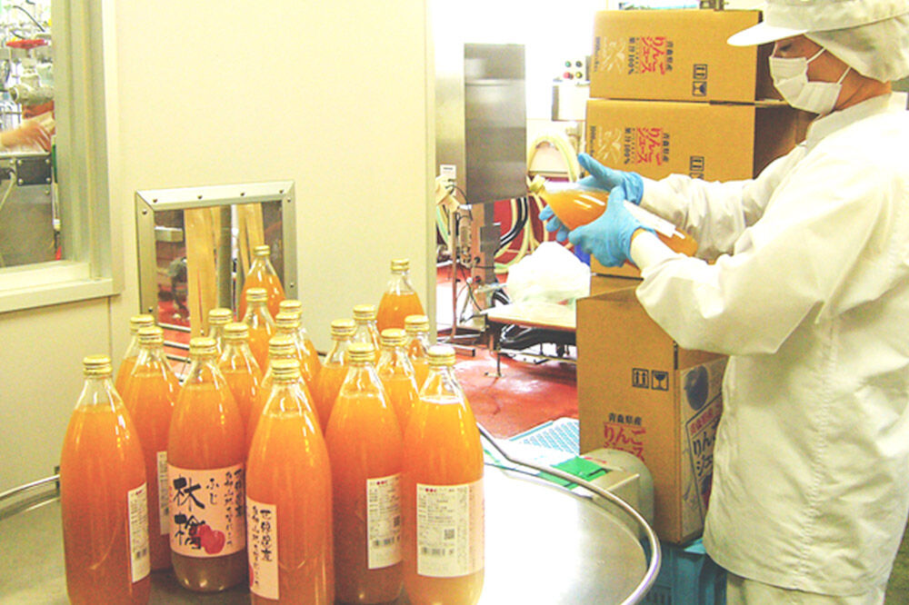 【寄附金額見直しました】無添加 りんごジュース 4種詰め合わせ（ブレンド・ふじ・王林・シナノゴールド）1L×6本 JA相馬村