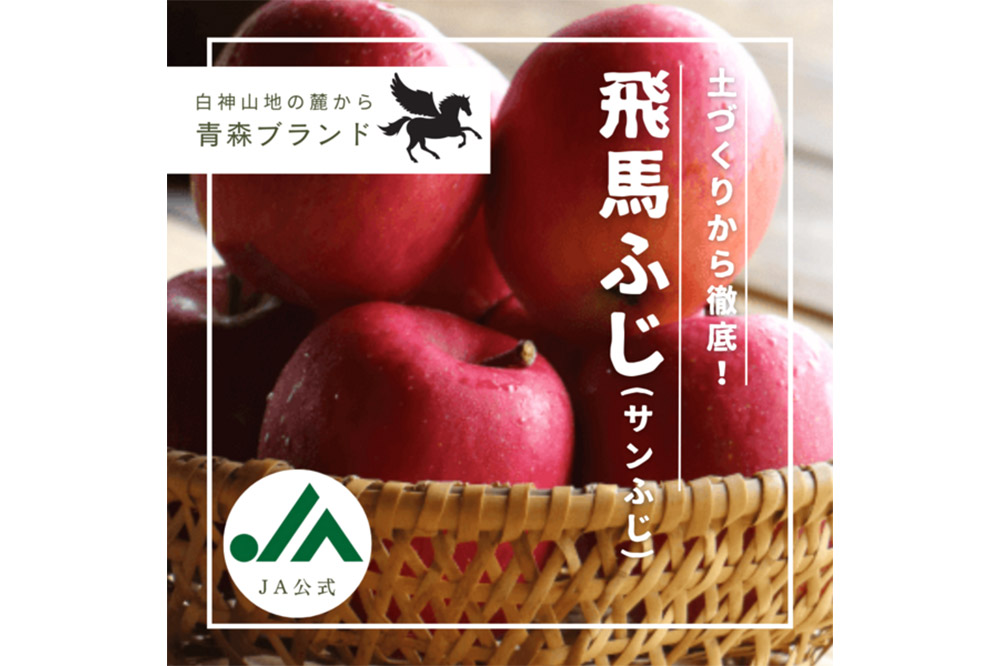 【25年11月～発送】りんご 糖度14度以上 「 飛馬ふじ 」（サンふじ）約 2.5kg