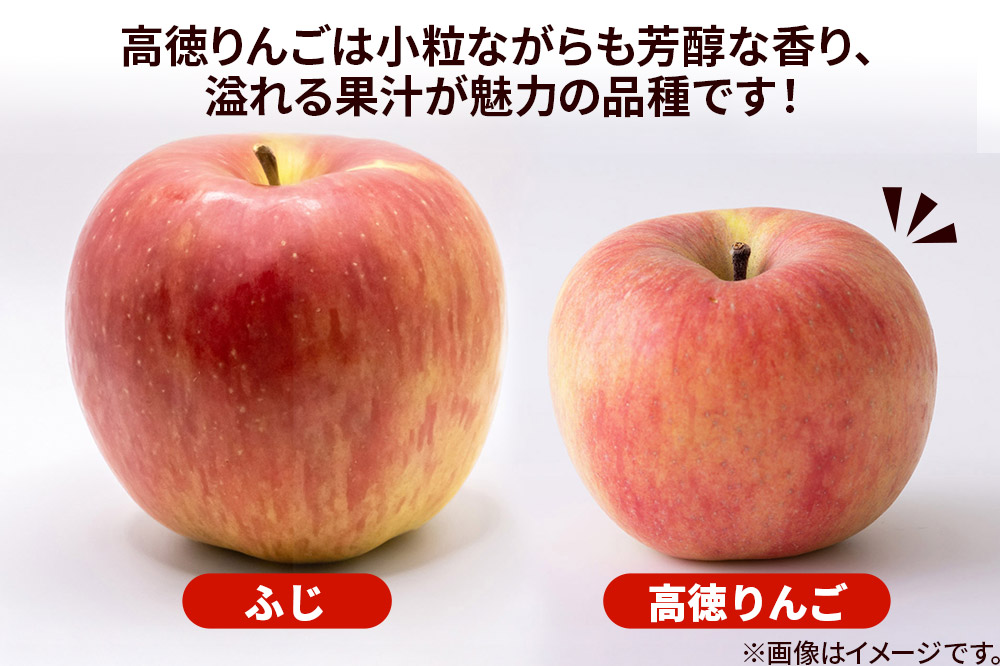 りんご 特選 高徳（ こうとく ）りんご 約2kg