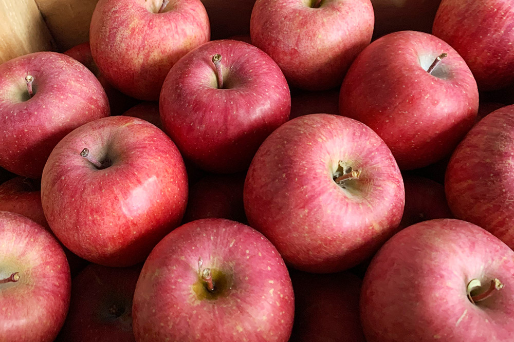 りんご【訳あり】サンふじ 約3kg  弘前市産 青森りんご