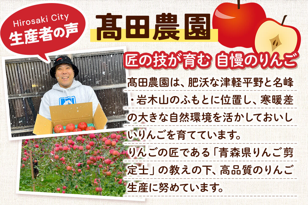 【寄附金額見直しました】りんご【特選】サンふじ 約3kg  弘前市産 青森りんご