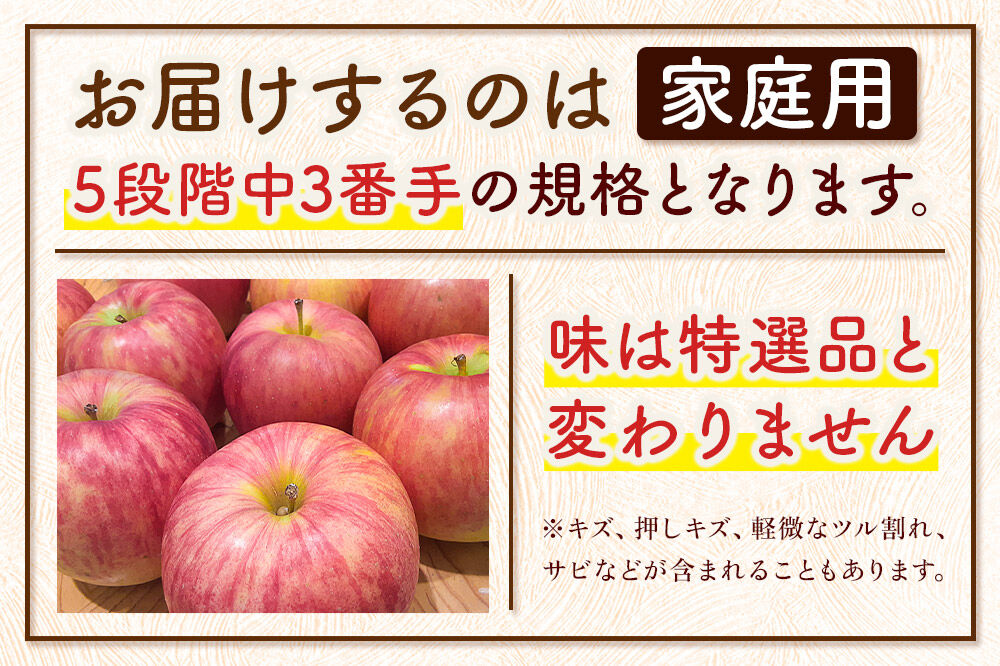 りんご 【糖度13度以上】サンふじ【家庭用】約5kg 13～20玉程度 津軽