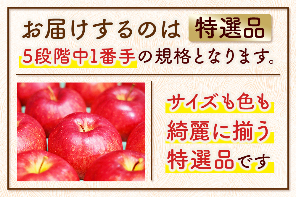 【26年1月発送】りんご 【糖度13度以上】サンふじ【特選品】約10kg 26～40玉程度 津軽農園