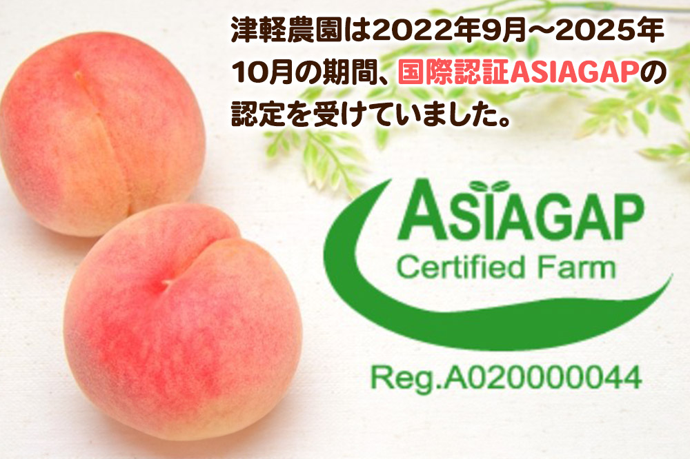 【26年8月発送】もも【2026年産 あふれる果汁 まどか】特秀 約3kg 8～14玉程度 津軽農園 採れたて 農家直送