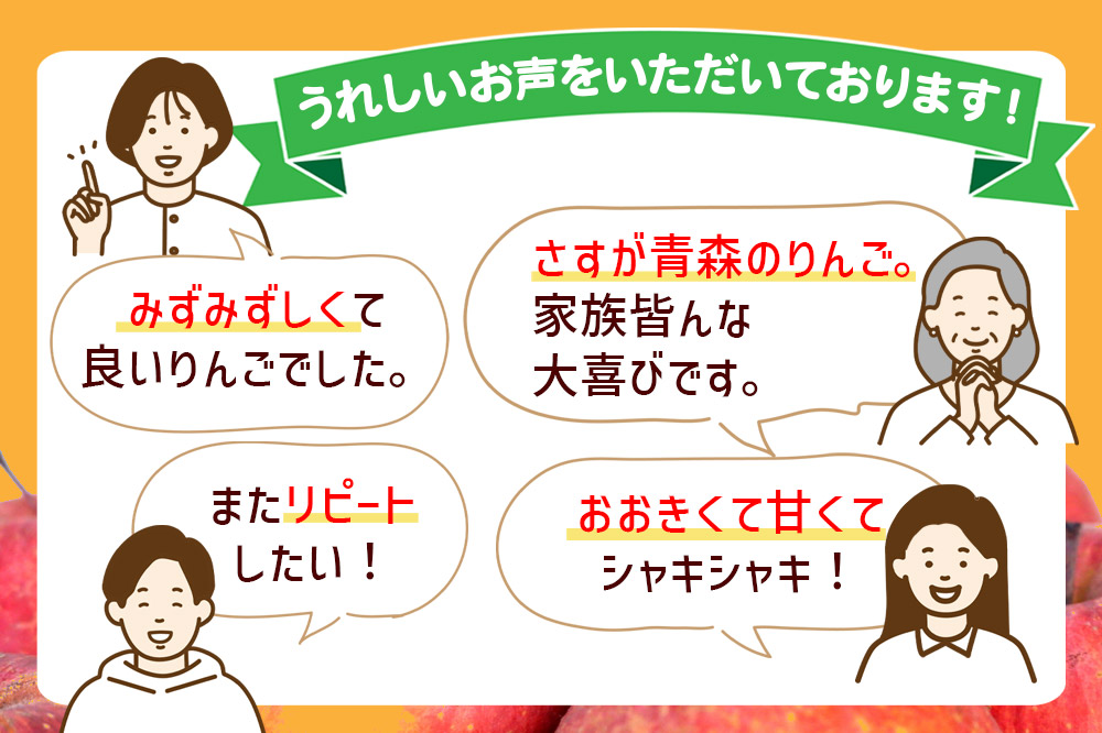 【26年2月発送】りんご 贈答規格 サンふじ 約 3kg（9～12玉程度）