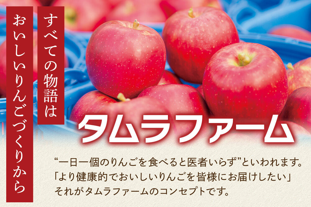【寄附金額見直しました】シードル タムラシードルセットTMB-SDS（SWEET・DRY・赤りんごラベル 500ml×各1本 計3本） 青森県弘前市 タムラファーム [りんご リンゴ 林檎 アップル 弘前 セット ギフト 果実酒 果汁 発泡 青森 飲み比べ 完熟 甘口 やや甘口 やや辛口 酸味 苦み]