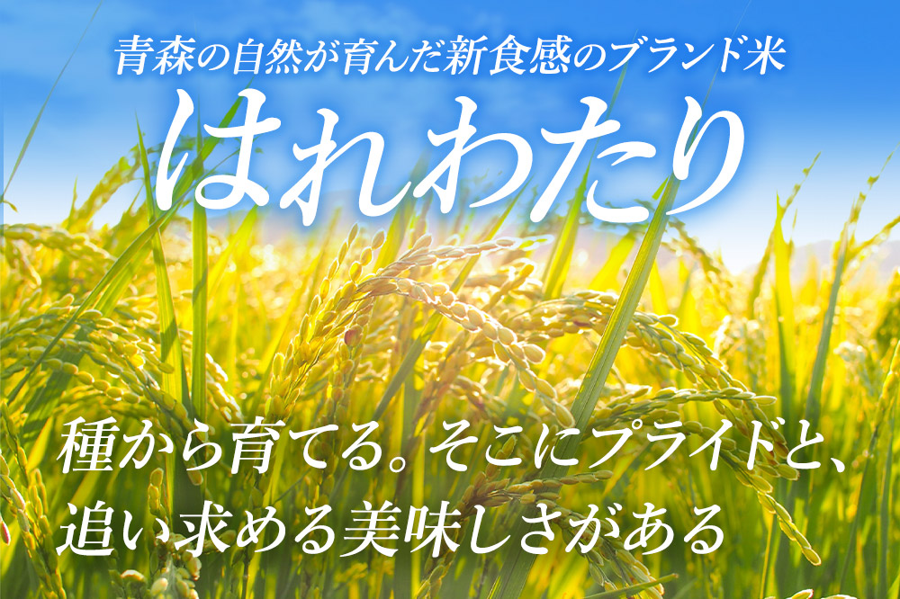 米 【弘前市・戸澤農場】令和7年産 青森県産はれわたり（らく米・無洗米）3kg（300g×10袋）【白米】