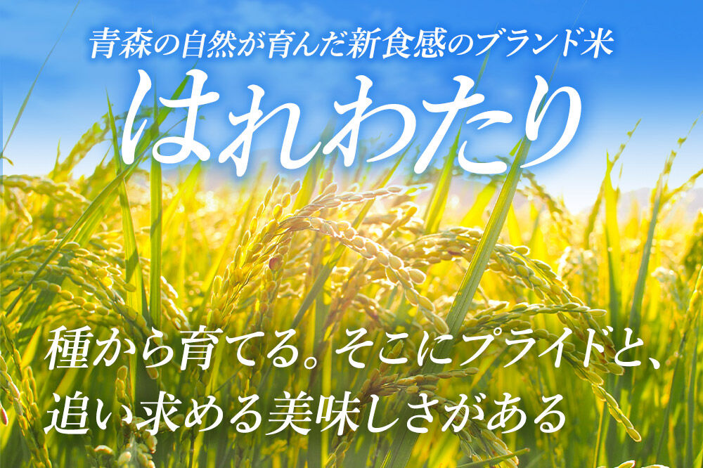【寄附金額見直しました】米 【弘前市・戸澤農場】令和7年産 青森県産はれわたり（らく米・無洗米）3kg（300g×10袋）【白米】