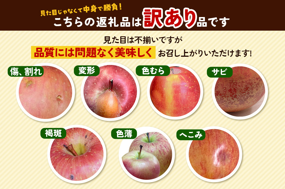 【26年4月発送】りんご 平均糖度13度以上！ サンふじ 約5kg 訳あり CA貯蔵 クール便 青森 果物 フルーツ 林檎 リンゴ くだもの 不揃い 規格外