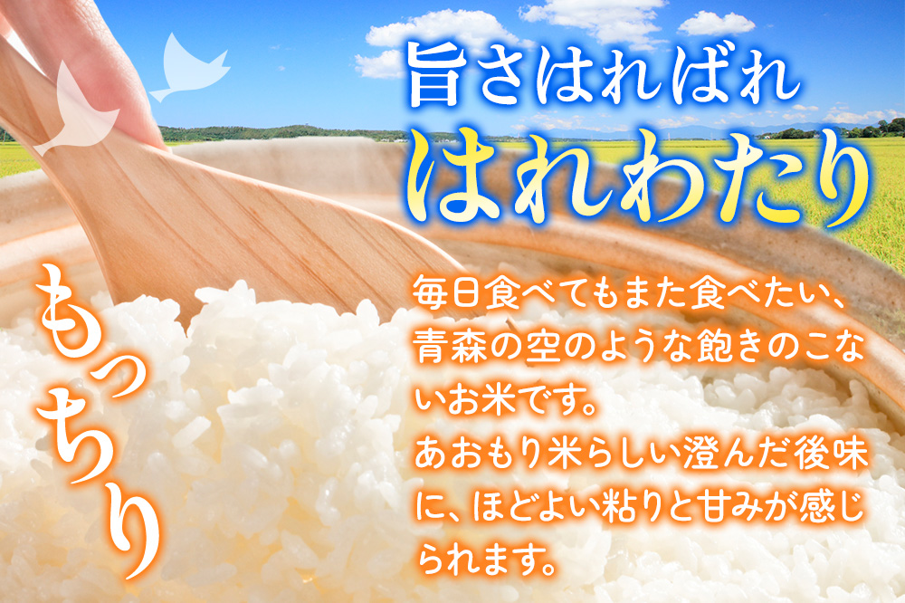 新米 米 令和7年産 青森県弘前市産 はれわたり【精米】5kg（5kg×1袋）
