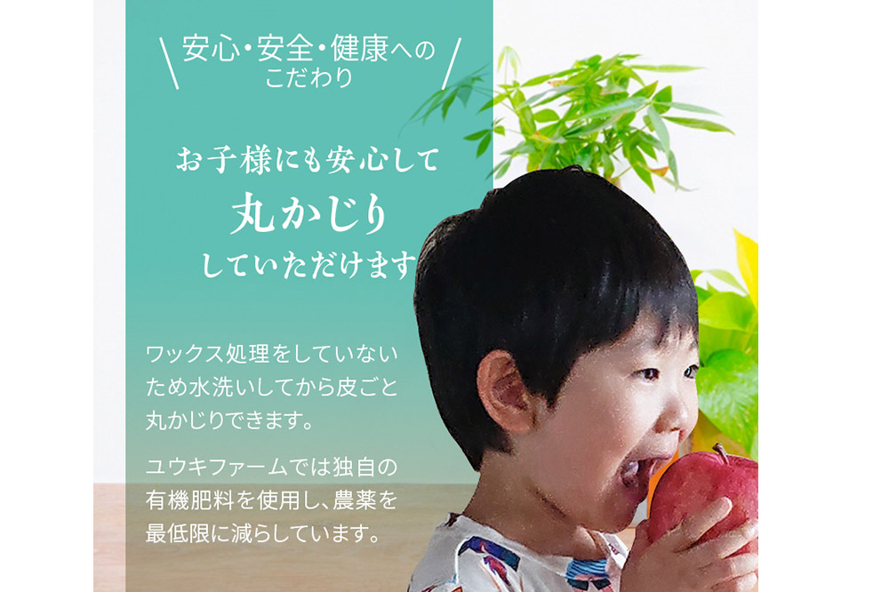 ユウキファーム 超完熟 りんごジュース 500ml × 1本