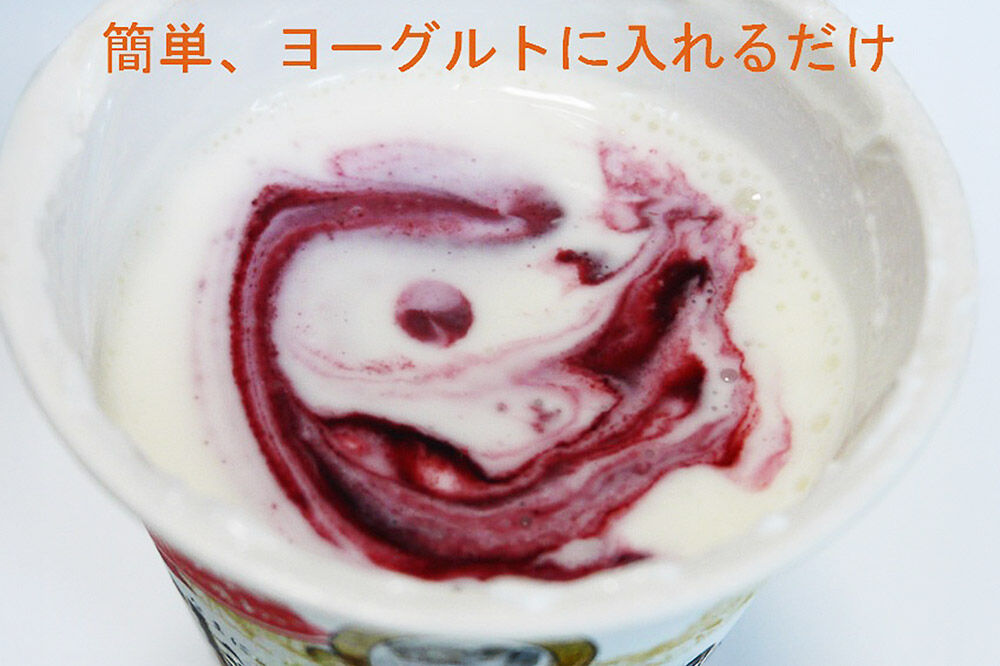 【寄附金額見直しました】カシス果汁100％ジュース（無加糖・無添加）250ml×2本【果汁飲料】