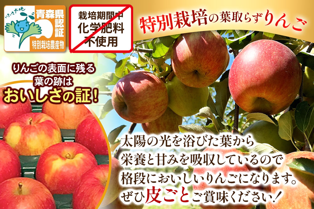 【25年12月～発送】りんご 訳あり家庭用【年内発送】葉取らず サンふじ 約3kg（8～12玉程度）青森県特別栽培農産物認証農園