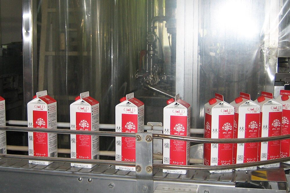 【寄附金額見直しました】りんごジュース ストレート果汁【林檎園】1000ml×3本 紙パック ゴールド農園 かめあし商店 [りんごジュース ストレートジュース 完熟 リンゴ 林檎 紙パック ゴールド農園 かめあし商店 青森県産 弘前市]