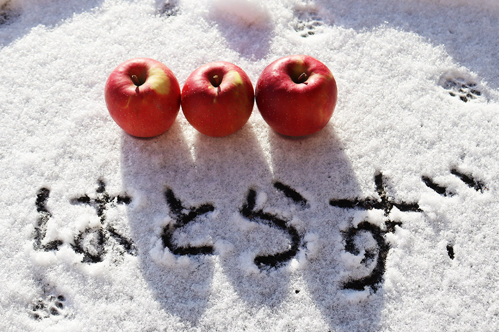 【25年12月～発送】《定期便2ヶ月》りんご 葉とらず ふじ《家庭用》約10kg ゴールド農園