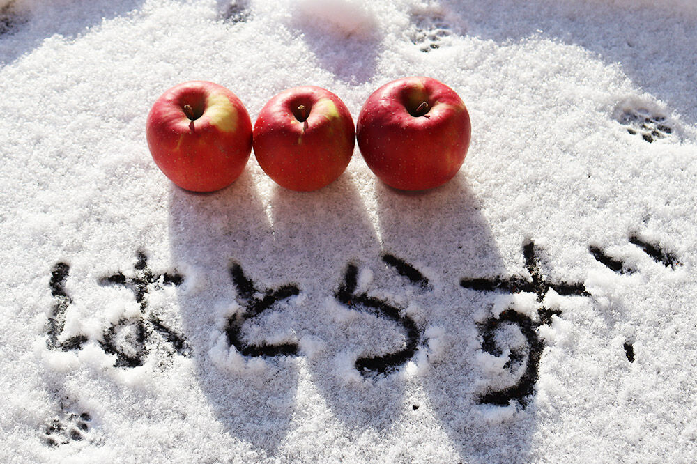 【寄附金額見直しました】【25年12月～発送】りんご 葉とらず ふじ【家庭用】約2kg ゴールド農園