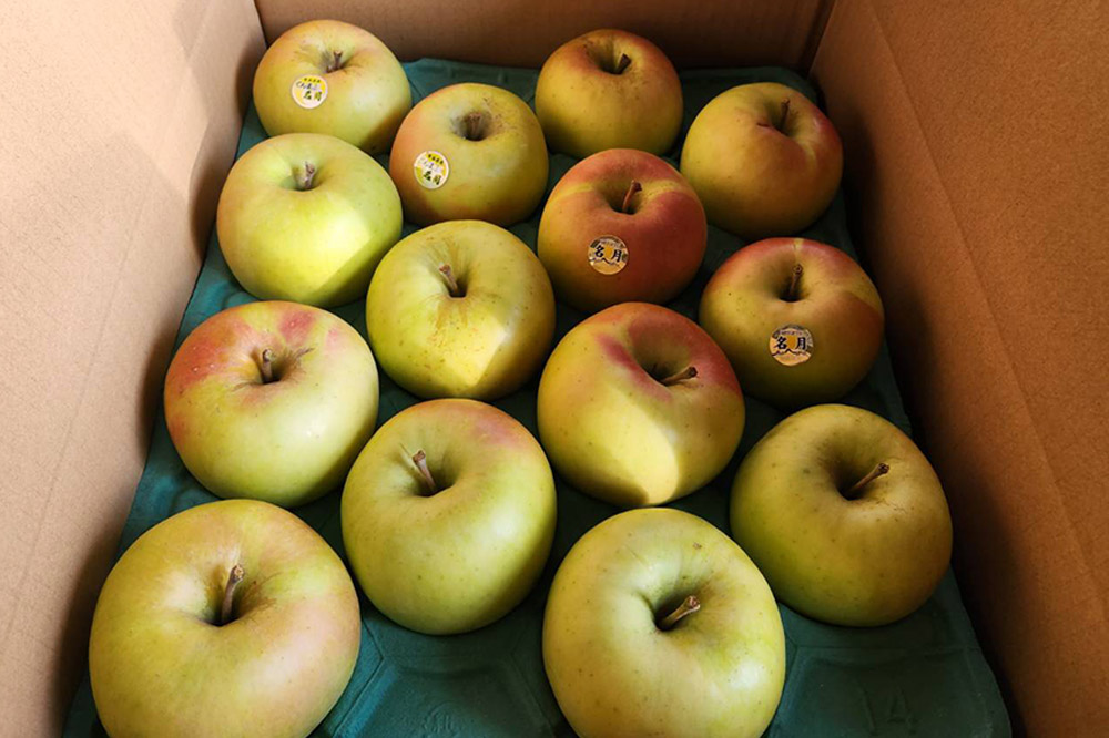 【25年11月～発送】りんご【贈答用】名月 約3kg ちとせ村