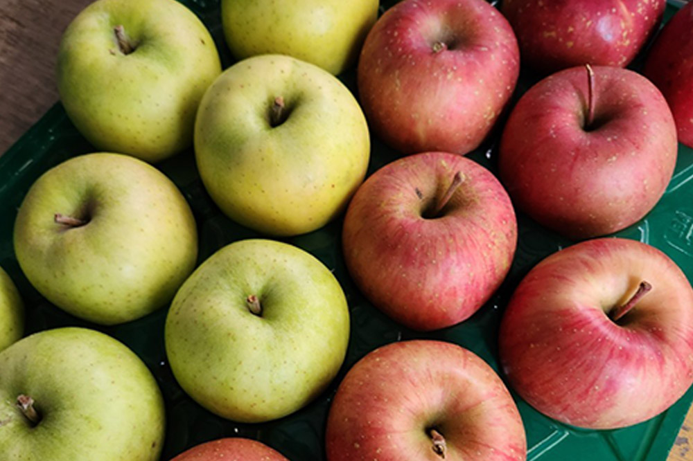 【26年1月～発送】りんご 葉とらずサンふじ ＆ 王林 詰め合わせ 約5kg 家庭用 訳あり ちとせ村