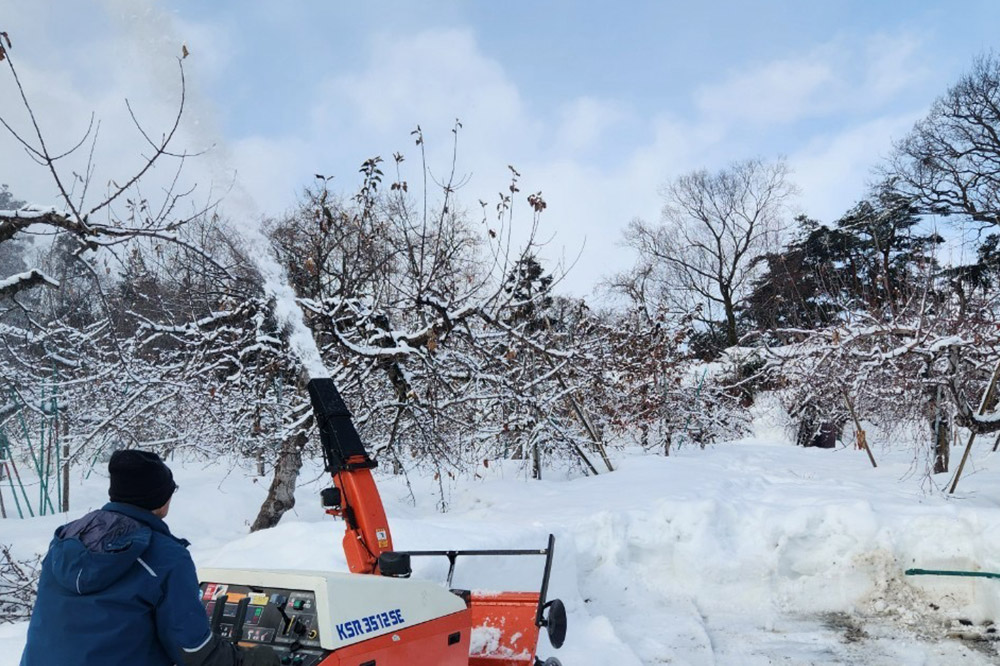 【25年11月～発送】りんご【家庭用】葉取らずサンふじ 約10kg