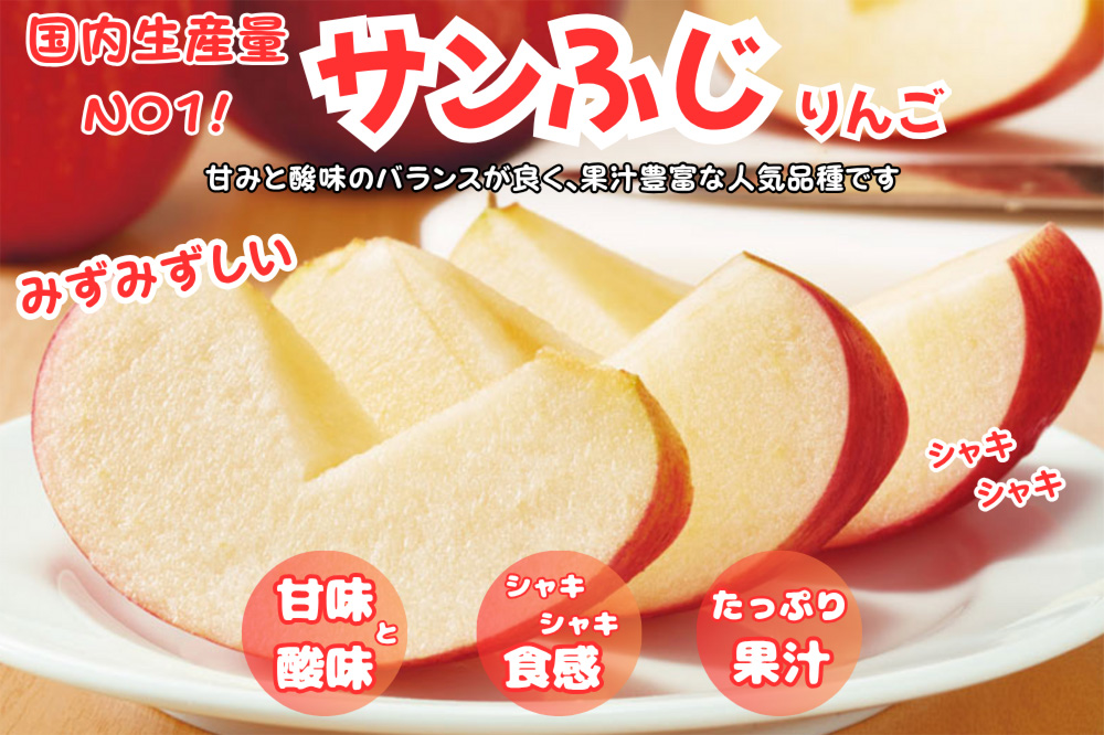 りんご【訳あり ご家庭用】サンふじ 5kg ふじりんご 青森県産 青森 果物 フルーツ 林檎 リンゴ くだもの 弘前市