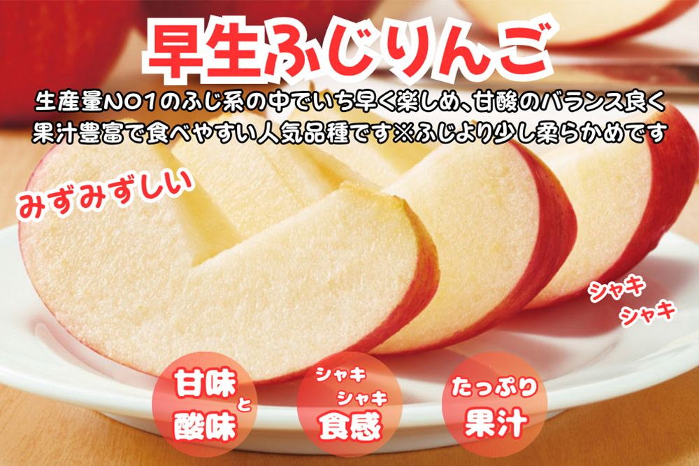 りんご【訳あり ご家庭用】早生ふじ 5kg 青森県産 青森 果物 フルーツ 林檎 リンゴ くだもの 弘前市