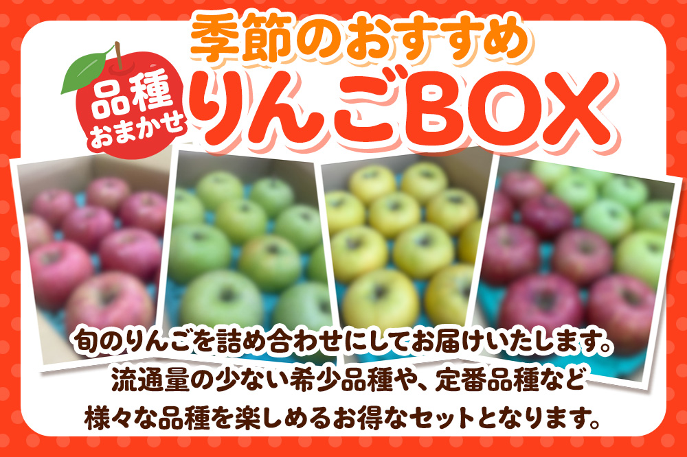 【どんな品種が届くかお楽しみ】季節のおすすめりんごBOX 詰め合わせ 約5kg 【家庭用】 青森県 フルーツ 果物