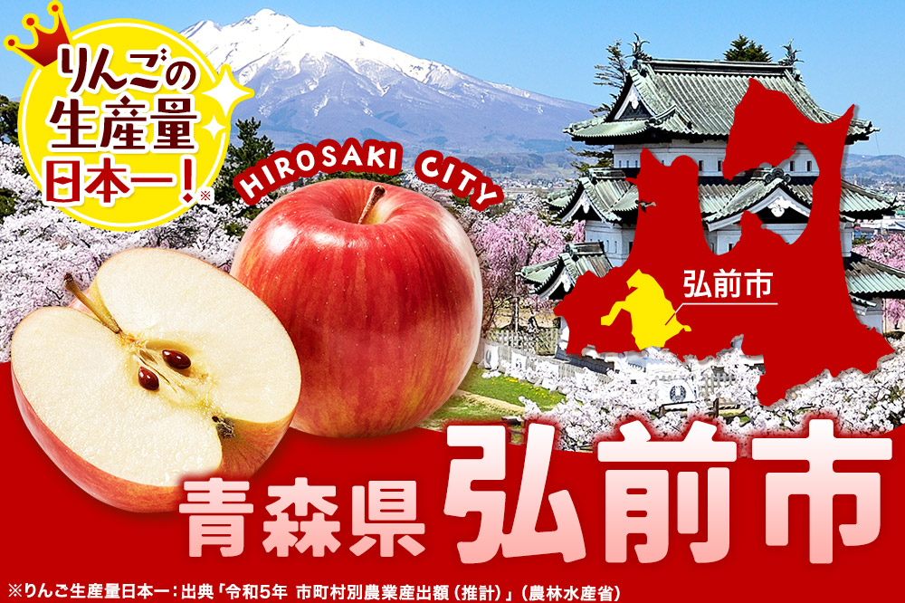【26年1月発送】りんご  贈答用 サンふじ 約3kg 糖度 13度以上 EMりんご